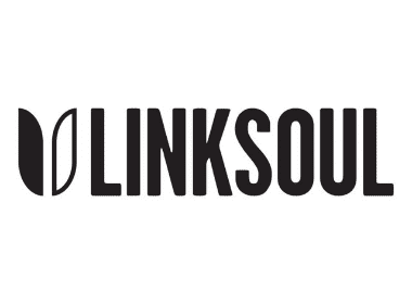 Link Soul