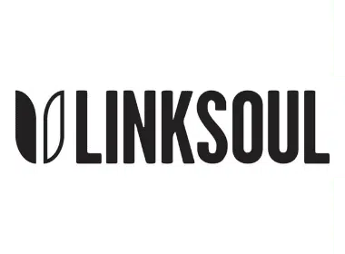 Link Soul